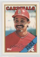 Tony Pena