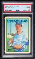 Bill Pecota [PSA 9 MINT]