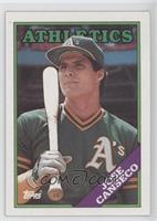 Jose Canseco