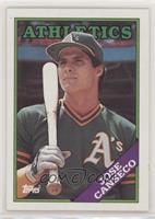 Jose Canseco