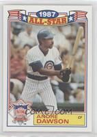 Andre Dawson