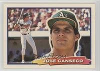 Jose Canseco (C*D* on Back)