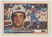 Mitch Webster (D* on Back) [EX to NM]