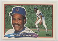 Andre Dawson (A* on Back)