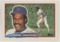 Andre Dawson (B* on Back)