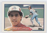 Andres Galarraga (D* on Back)