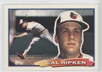 Cal Ripken Jr. (A* on Back)