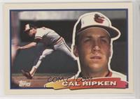 Cal Ripken Jr. (B* on Back) [EX to NM]