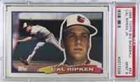 Cal Ripken Jr. (B* on Back) [PSA 9 MINT]