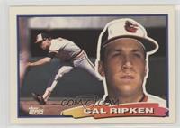 Cal Ripken Jr. (B* on Back)