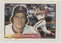 Brian Downing (C*D* on Back)