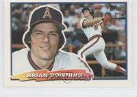 Brian Downing (C*D* on Back)