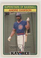 Andre Dawson