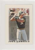 Jose Canseco