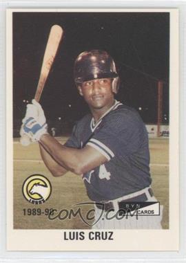 1989-90 BYN Puerto Rico Winter League - [Base] #173 - Luis Cruz