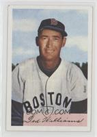 Ted Williams [Noted]