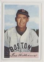 Ted Williams [EX to NM]