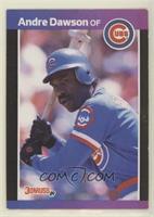 Andre Dawson (*Denotes*  Next to PERFORMANCE)