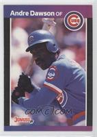 Andre Dawson (*Denotes  Next to PERFORMANCE)