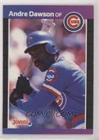 Andre Dawson (*Denotes  Next to PERFORMANCE)