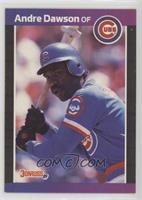 Andre Dawson (*Denotes  Next to PERFORMANCE)