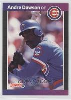 Andre Dawson (*Denotes  Next to PERFORMANCE)