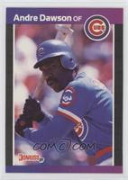 Andre Dawson (*Denotes  Next to PERFORMANCE)