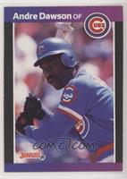 Andre Dawson (*Denotes  Next to PERFORMANCE)