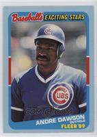 Andre Dawson