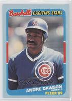 Andre Dawson