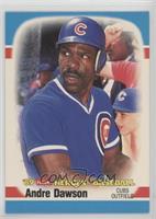 Andre Dawson