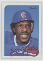 Andre Dawson