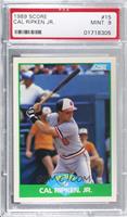 Cal Ripken Jr. [PSA 9 MINT]