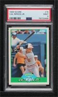 Cal Ripken Jr. [PSA 9 MINT]