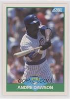 Andre Dawson