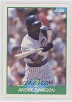 Andre Dawson