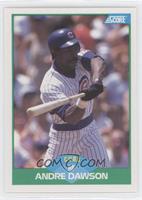 Andre Dawson