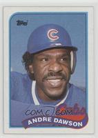 Andre Dawson