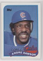 Andre Dawson