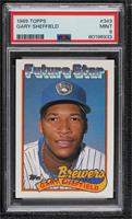 Future Star - Gary Sheffield (small gap between hat and Future Stars header) [P…