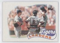 Team Leaders - Detroit Tigers