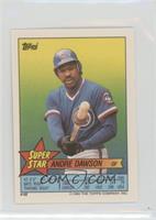 Andre Dawson (Luis Rivera 68, Dale Sveum 206)