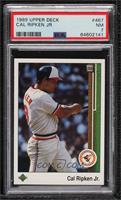 Cal Ripken Jr. [PSA 7 NM]