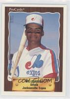 ProCards - Wil Cordero