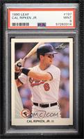 Cal Ripken Jr. [PSA 9 MINT]