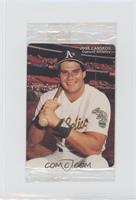 Jose Canseco