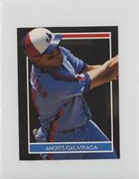 Andres Galarraga