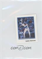 Andre Dawson (Batting)