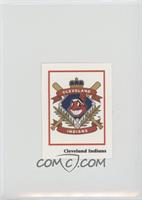 Team Logo - Cleveland Indians