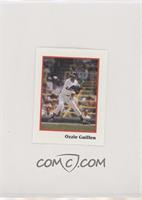 Ozzie Guillen